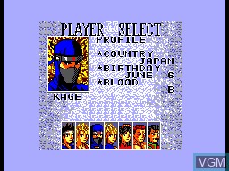 Menu screen of the game Virtua Fighter Animation on Sega Master System