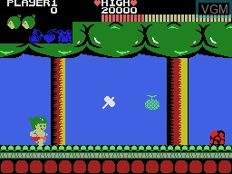Menu screen of the game Wonder Boy on Sega Master System