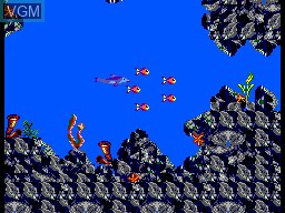 In-game screen of the game Ecco - The Tides of Time on Sega Master System