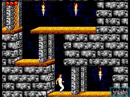 In-game screen of the game Prince of Persia on Sega Master System