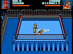 In-game screen of the game WWF WrestleMania - Steel Cage Challenge on Sega Master System