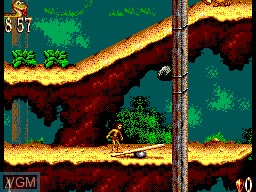 In-game screen of the game Jungle Book, The on Sega Master System
