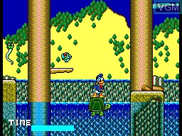In-game screen of the game Lucky Dime Caper Starring Donald Duck, The on Sega Master System
