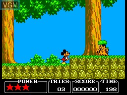 In-game screen of the game Castle of Illusion Starring Mickey Mouse on Sega Master System