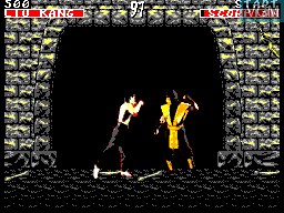 In-game screen of the game Mortal Kombat on Sega Master System