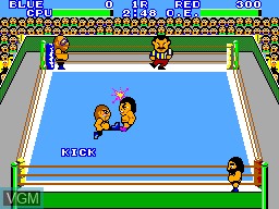 In-game screen of the game Pro Wrestling on Sega Master System