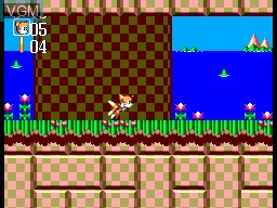 In-game screen of the game Sonic the Hedgehog Chaos on Sega Master System