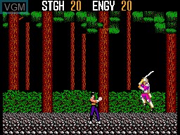 In-game screen of the game SpellCaster on Sega Master System