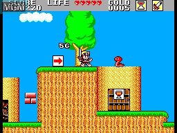 In-game screen of the game Super Wonder Boy - Monster World on Sega Master System