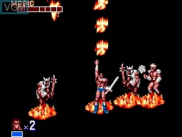 In-game screen of the game Golden Axe on Sega Master System