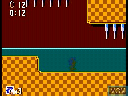 In-game screen of the game Sonic the Hedgehog on Sega Master System