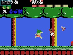 In-game screen of the game Wonder Boy on Sega Master System