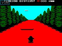 In-game screen of the game Penguin Adventure on Sega Master System