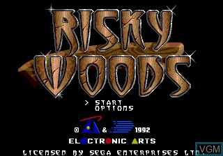 Title screen of the game Risky Woods on Sega Megadrive
