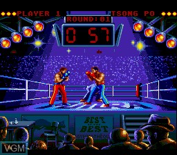 In-game screen of the game Best of the Best - Championship Karate on Sega Megadrive