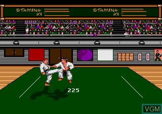 In-game screen of the game Budokan - The Martial Spirit on Sega Megadrive