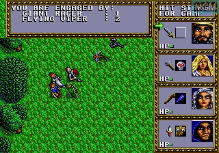 In-game screen of the game Dungeons & Dragons - Warriors of the Eternal Sun on Sega Megadrive