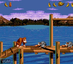 In-game screen of the game Super Donkey Kong 99 on Sega Megadrive