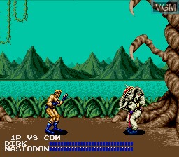 In-game screen of the game Fighting Masters on Sega Megadrive