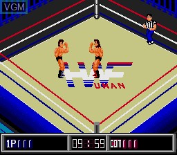 In-game screen of the game Thunder Pro Wrestling Retsuden on Sega Megadrive
