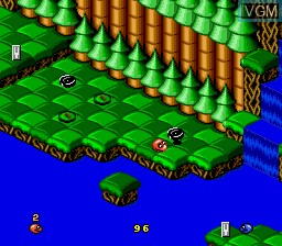 In-game screen of the game Snake Rattle n Roll on Sega Megadrive