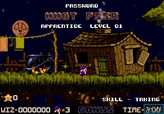 In-game screen of the game Wiz 'n' Liz - The Frantic Wabbit Wescue on Sega Megadrive