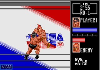 In-game screen of the game Wrestle War on Sega Megadrive