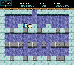 In-game screen of the game Ikasuze! Koi no Doki Doki Penguin Land MD on Sega Megadrive