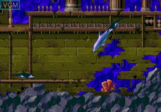 In-game screen of the game Ecco - The Tides of Time on Sega Megadrive