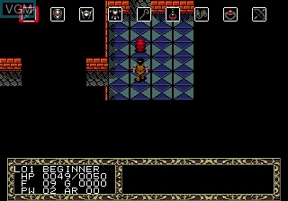 In-game screen of the game Fatal Labyrinth on Sega Megadrive