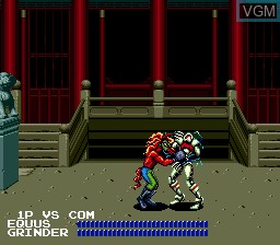 In-game screen of the game Fighting Masters on Sega Megadrive