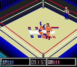 In-game screen of the game Thunder Pro Wrestling Retsuden on Sega Megadrive