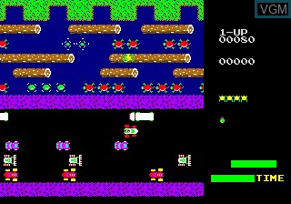 In-game screen of the game Frogger on Sega Megadrive