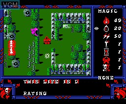 In-game screen of the game Druid on MSX2