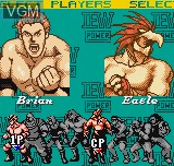 Menu screen of the game Wrestling Madness on SNK NeoGeo Pocket