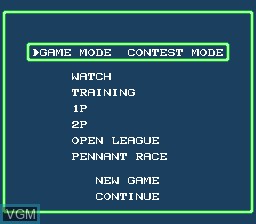 Menu screen of the game Baseball Fighter on Nintendo NES
