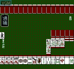 Mahjong World, The