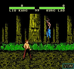 In-game screen of the game Mortal Kombat II Special on Nintendo NES