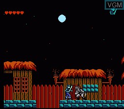 In-game screen of the game Challenge of the Dragon on Nintendo NES