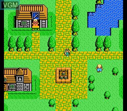 In-game screen of the game Chaos World on Nintendo NES