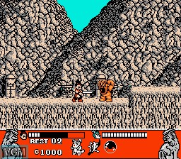 In-game screen of the game Conquest of the Crystal Palace on Nintendo NES