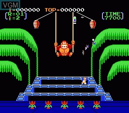 In-game screen of the game Donkey Kong 3 on Nintendo NES