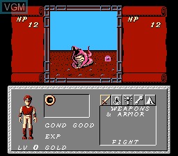 In-game screen of the game Dungeon Magic - Sword of the Elements on Nintendo NES