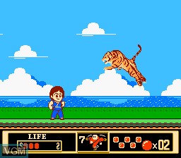 In-game screen of the game Jackie Chan's Action Kung Fu on Nintendo NES