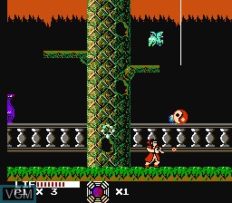 In-game screen of the game Master Chu and the Drunkard Hu on Nintendo NES