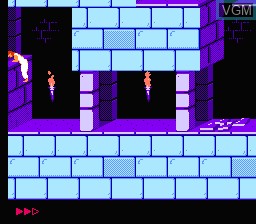 In-game screen of the game Prince of Persia on Nintendo NES