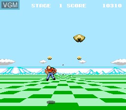 In-game screen of the game Space Harrier on Nintendo NES