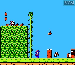 In-game screen of the game Super Mario Bros. 2 on Nintendo NES