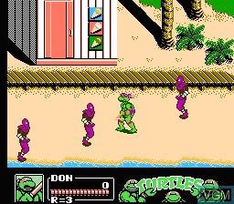 In-game screen of the game Teenage Mutant Ninja Turtles 2 - The Manhattan Project on Nintendo NES