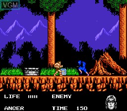 In-game screen of the game Werewolf - The Last Warrior on Nintendo NES